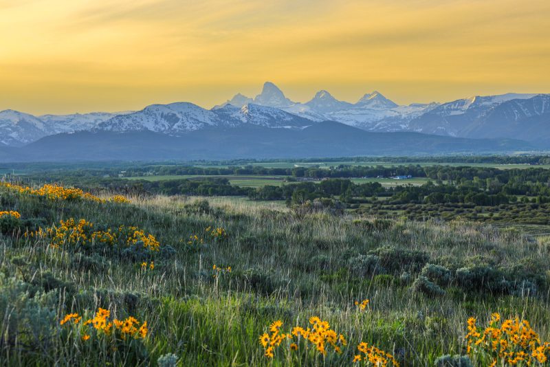 Sage Creek Farm