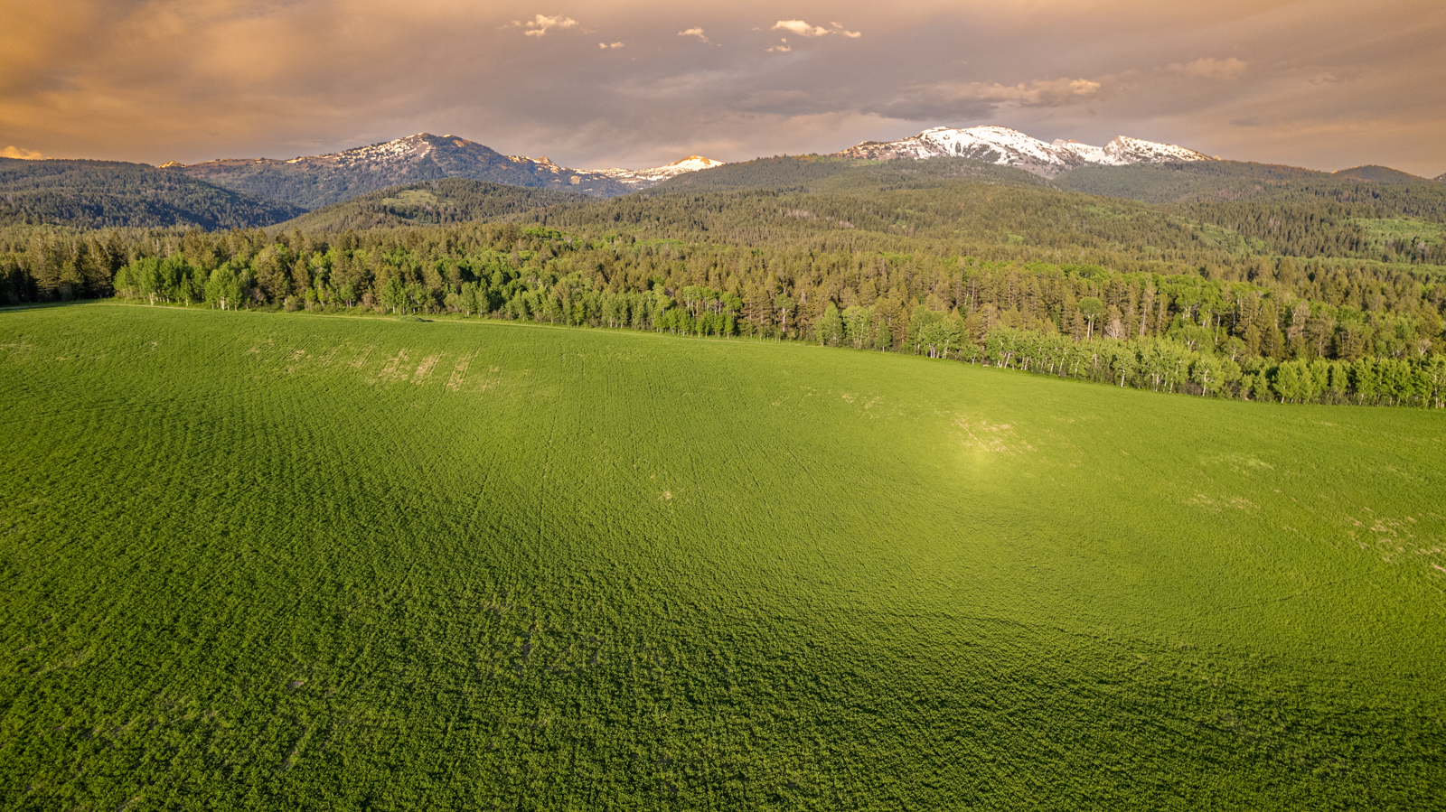 South Leigh Creek Ranch