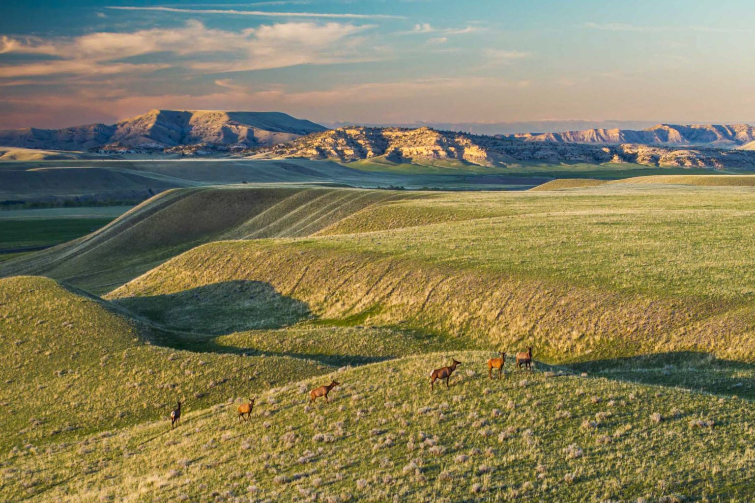 Pitchfork Ranch - Land & Ranches for Sale in Western & Southeastern ...