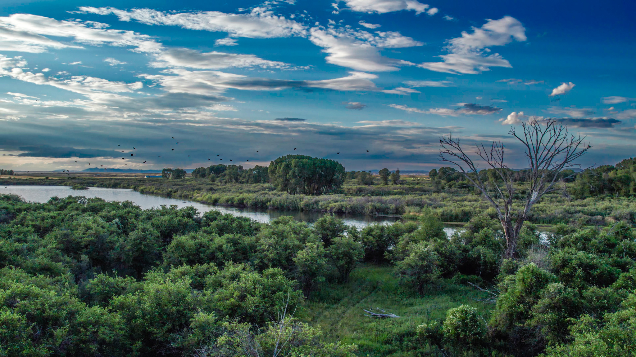  Henry's Fork Confluence Ranch Rexburg, Idaho