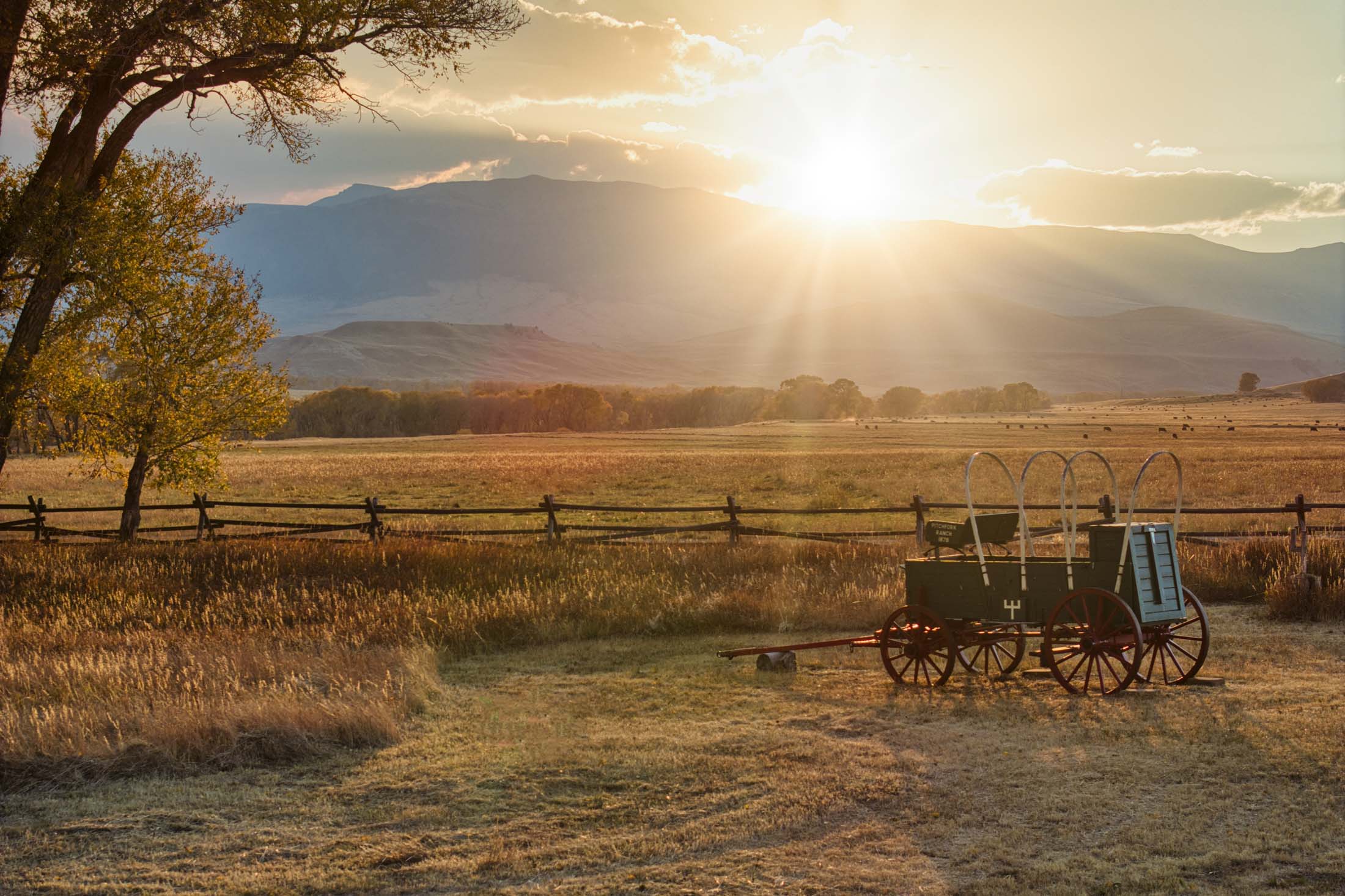  Pitchfork Ranch Meeteetse, Wyoming