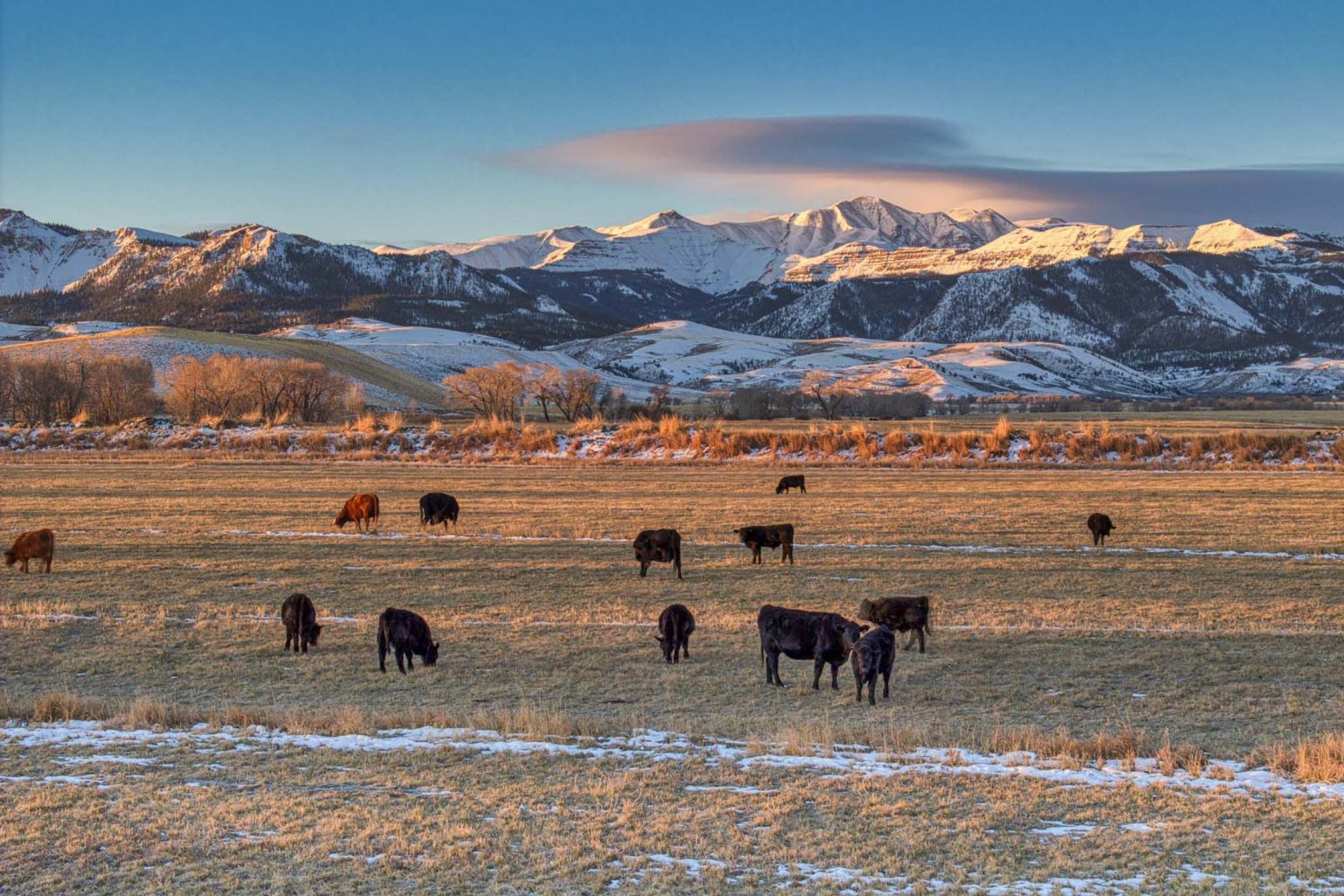 Pitchfork Ranch - Land & Ranches for Sale in Western & Southeastern ...