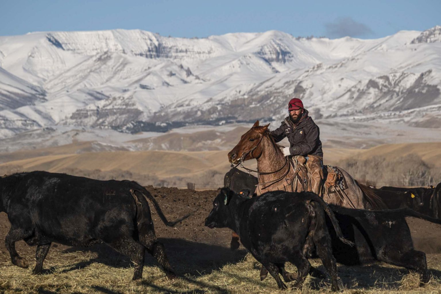 Pitchfork Ranch - Land & Ranches for Sale in Western & Southeastern ...