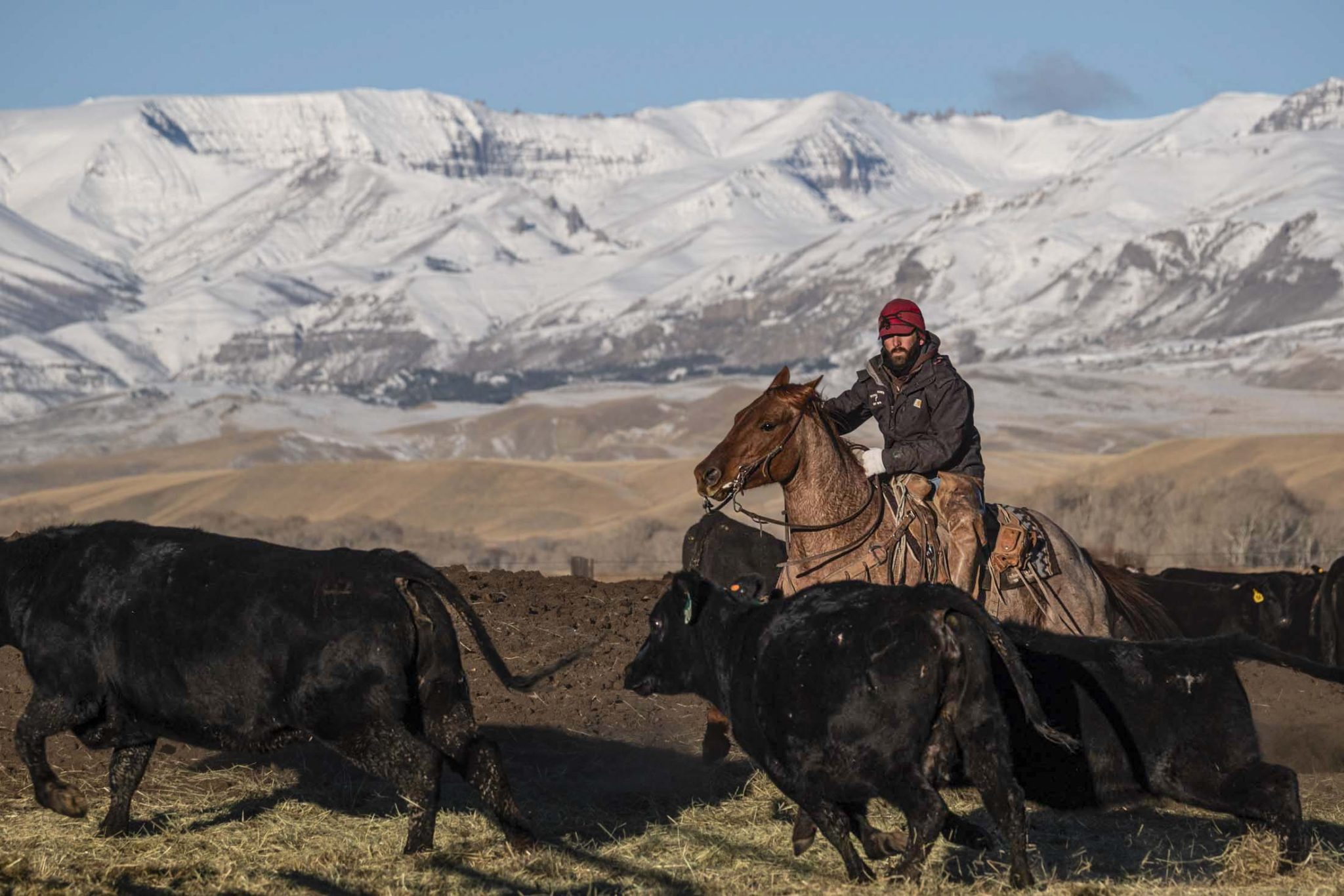 Pitchfork Ranch - Land & Ranches for Sale in Western & Southeastern ...