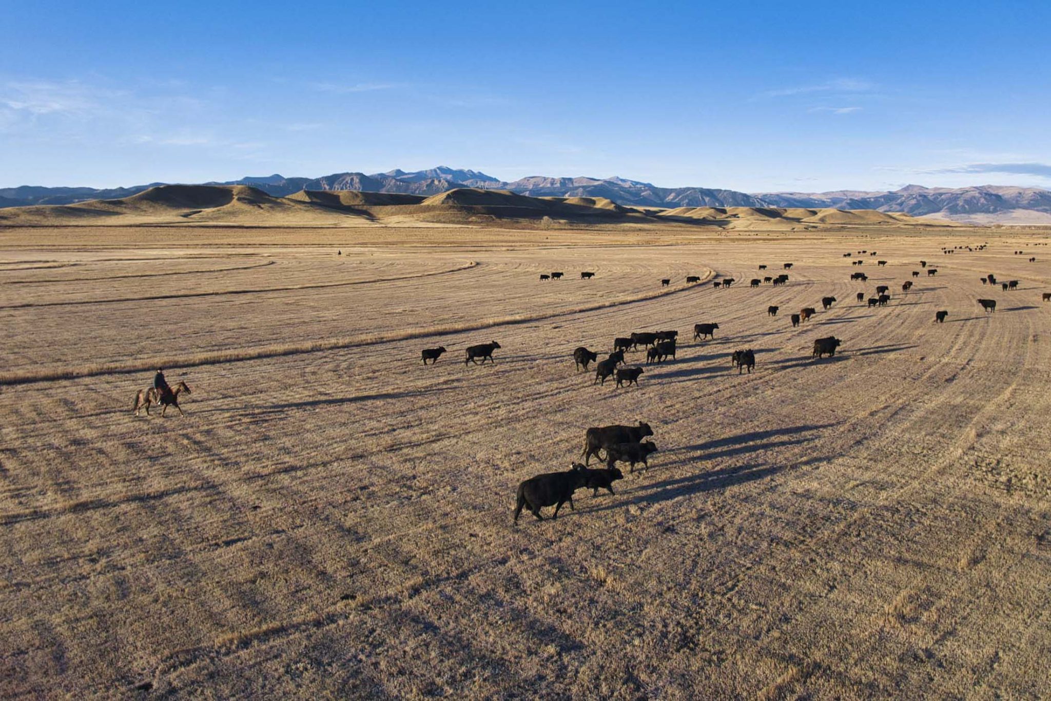 Pitchfork Ranch - Land & Ranches for Sale in Western & Southeastern ...