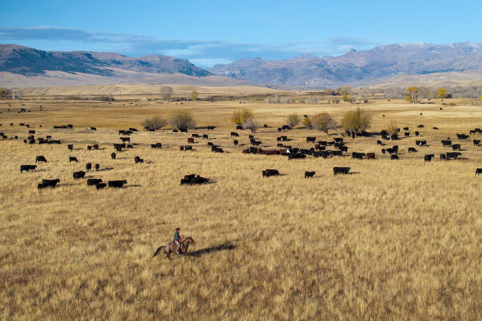 Pitchfork Ranch - Land & Ranches for Sale in Western & Southeastern ...