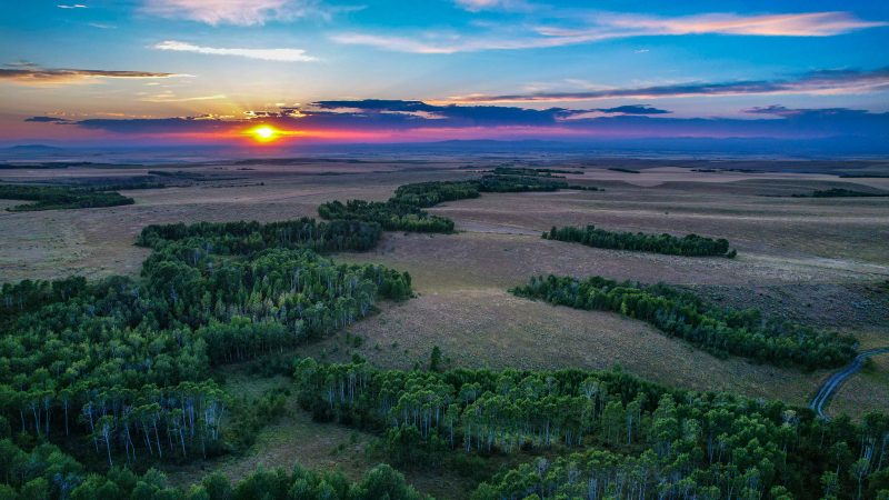 Long Hollow Ranch