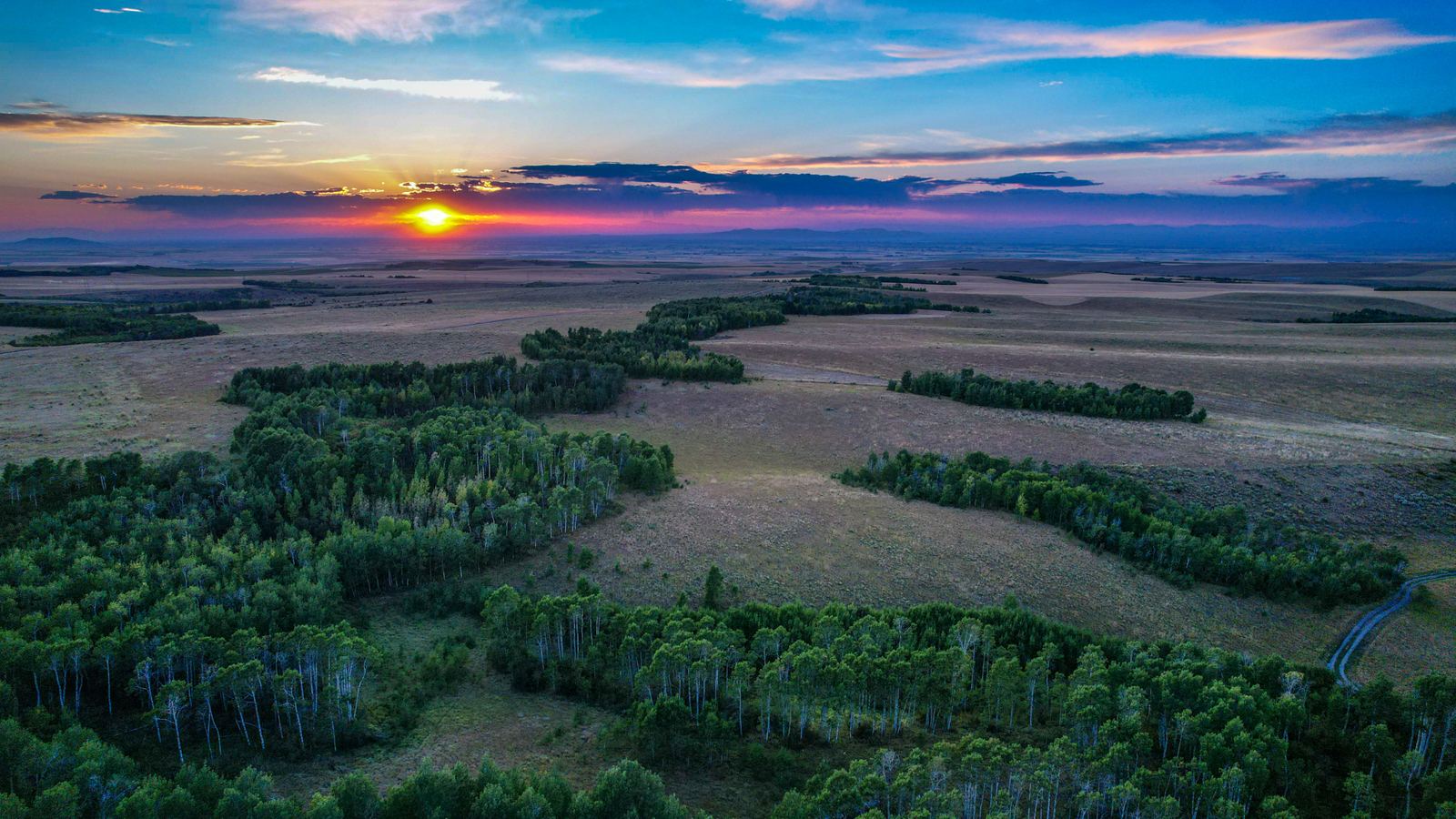 Long Hollow Ranch