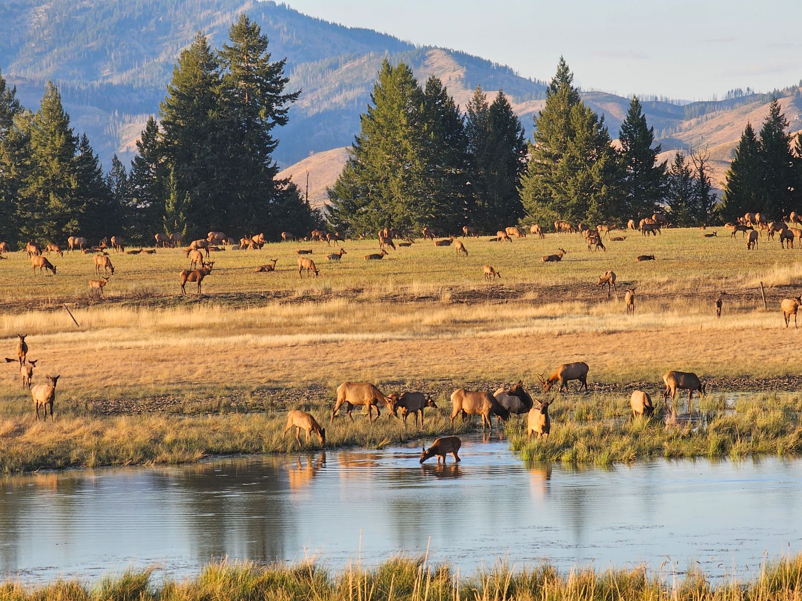 2025 Big Game Hunting Properties
