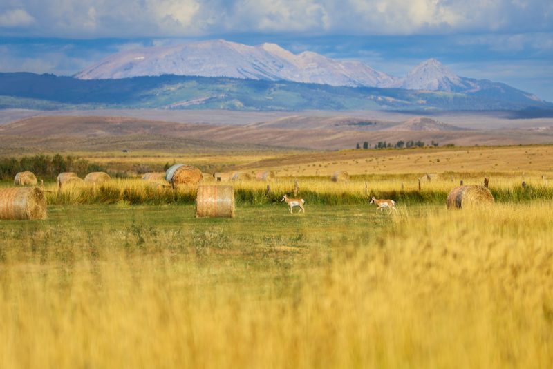 Reservoir Ranch