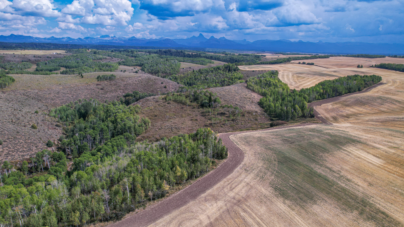 non-tilled acreage