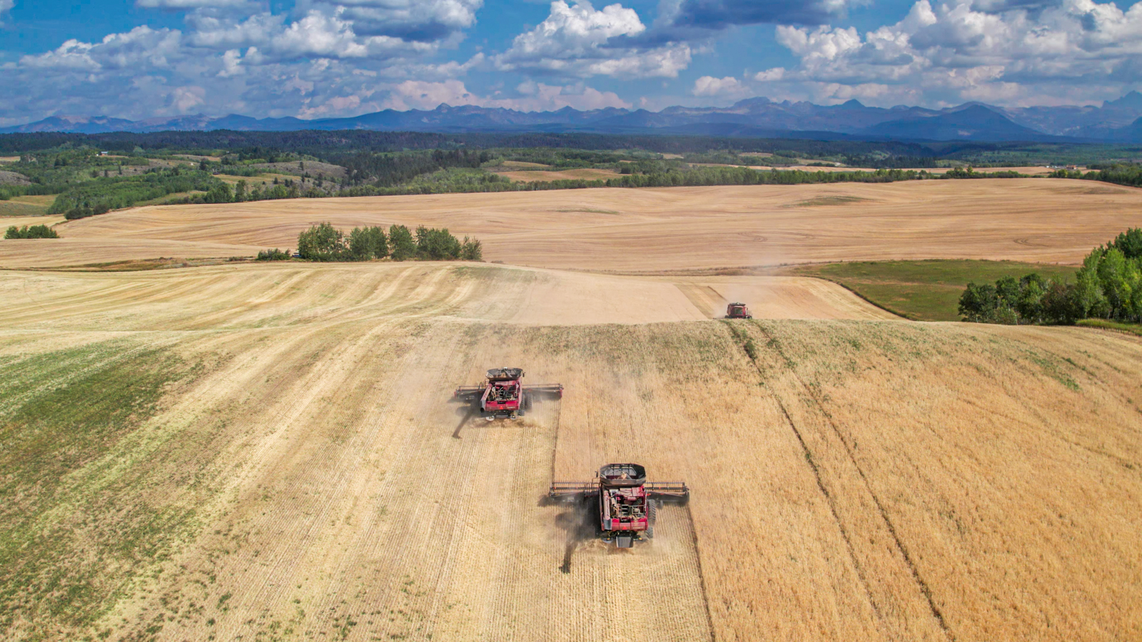 farming machinery in field