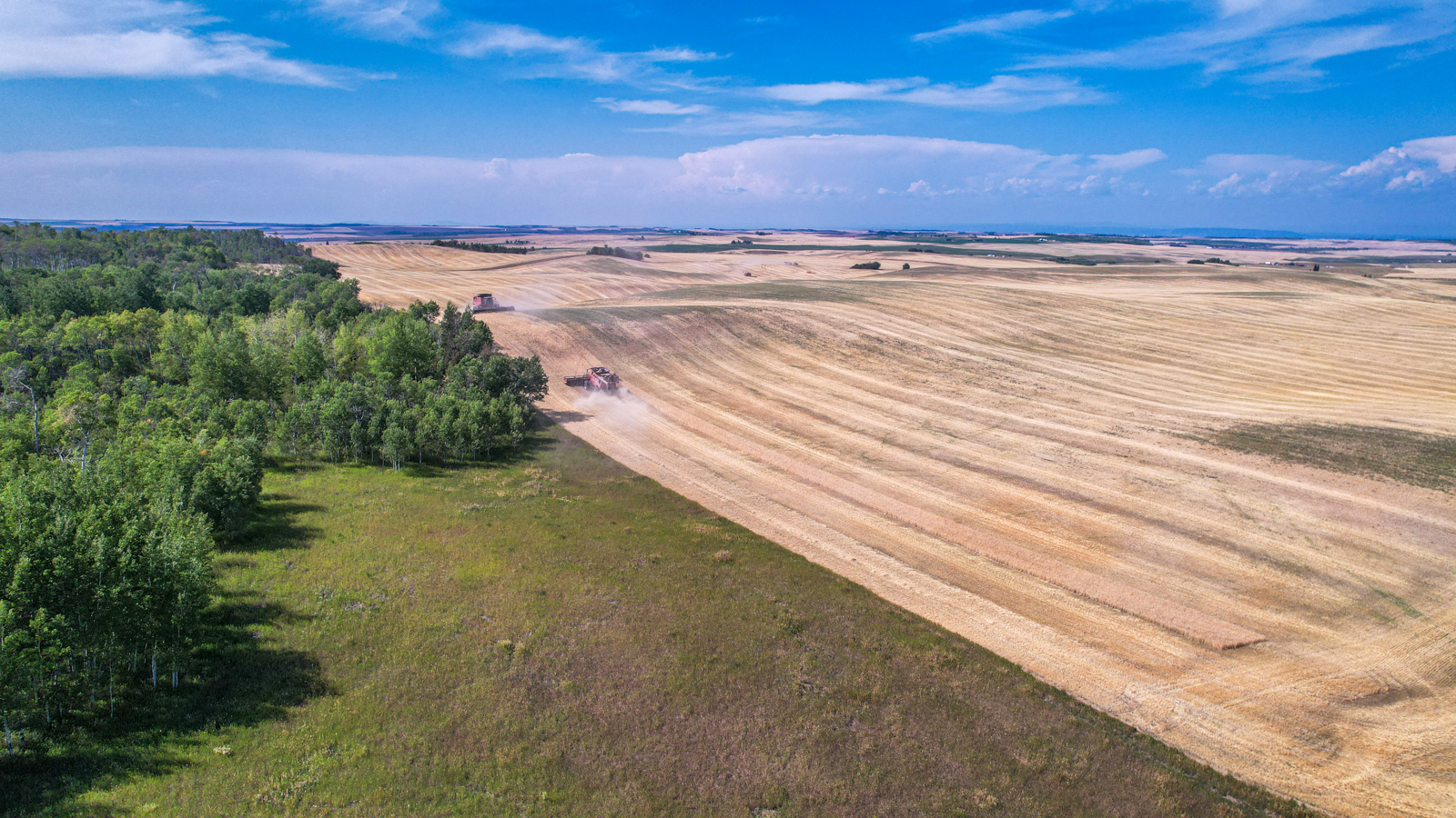 farmland
