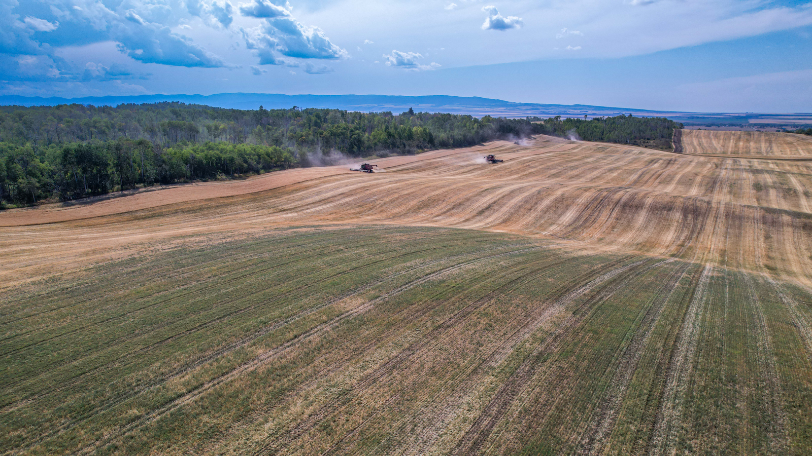 aerial view of idaho farmland for sale