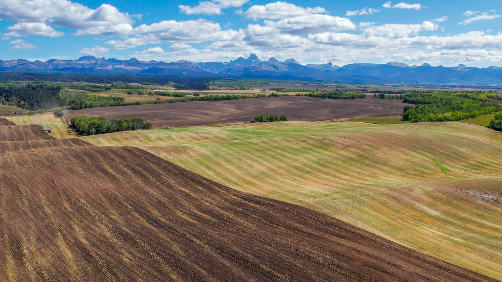 aerial view of crop field