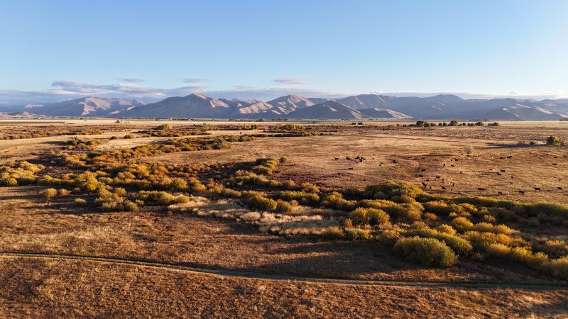 Willow Creek Meadows