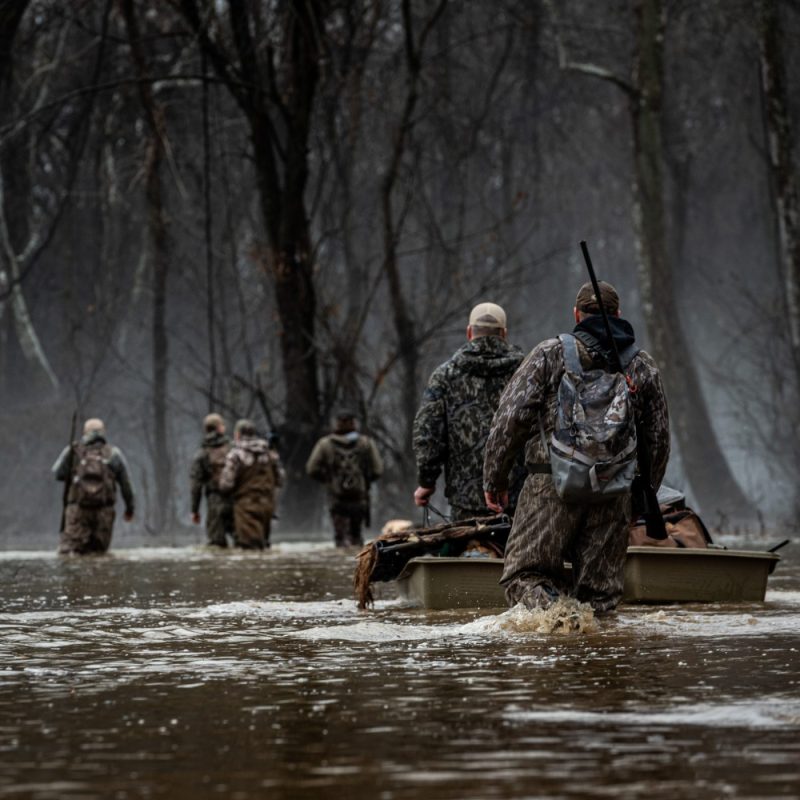 Waterfowl and Upland Bird Properties of 2026