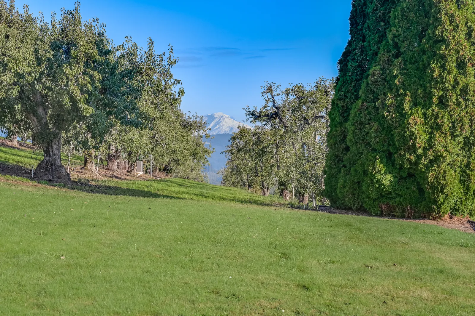 Oregon Ranching Ranch for Sale in Oregon | Income-Producing Hood River Ranch