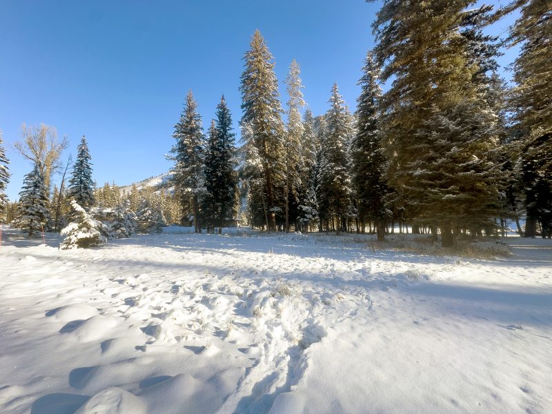 Snake River Sporting Club – Lot 82