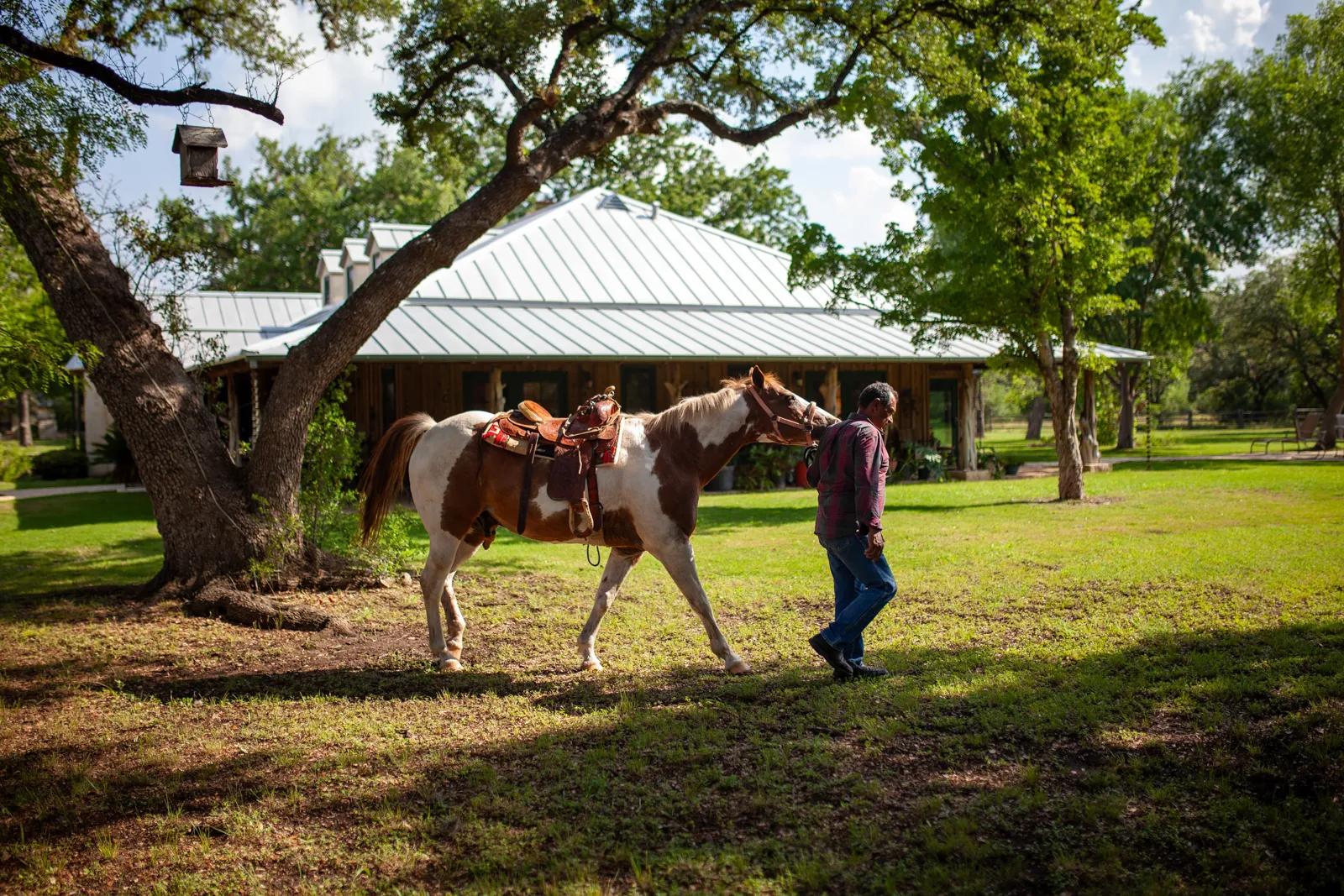 man walking horse