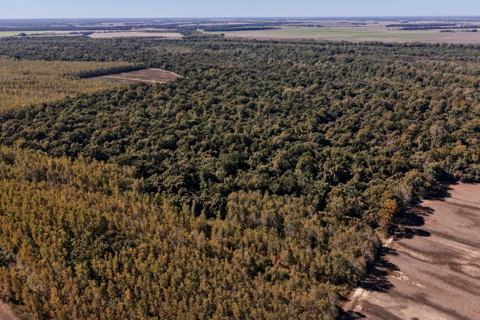 aerial view of Island 35