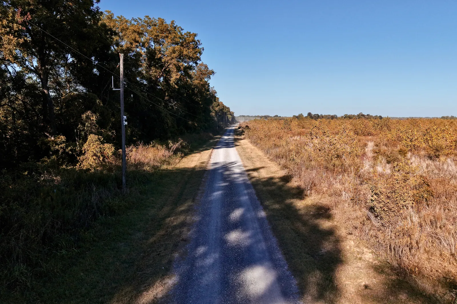 dirt road on land for sale in Arkansas