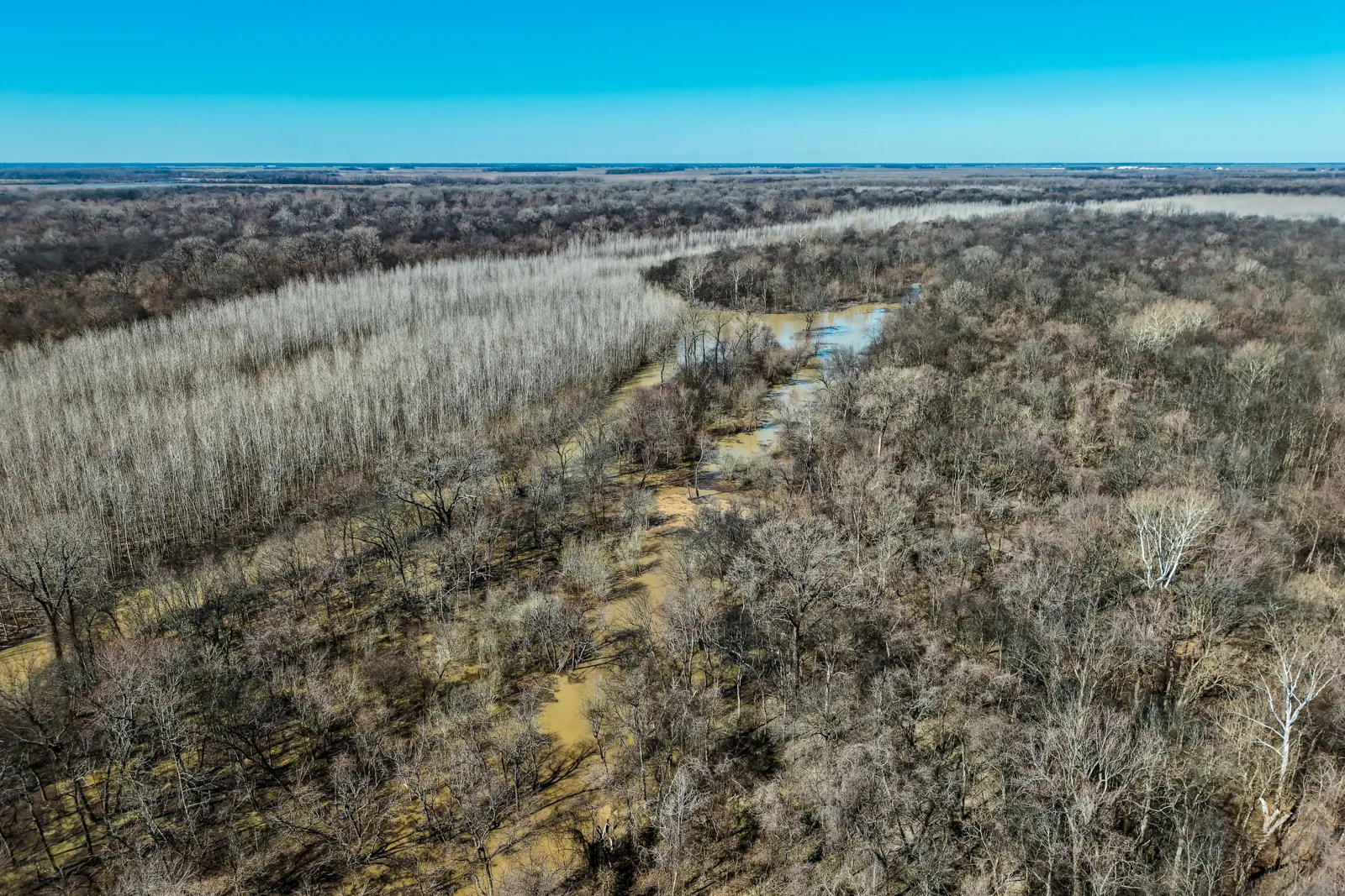 Pecan Point