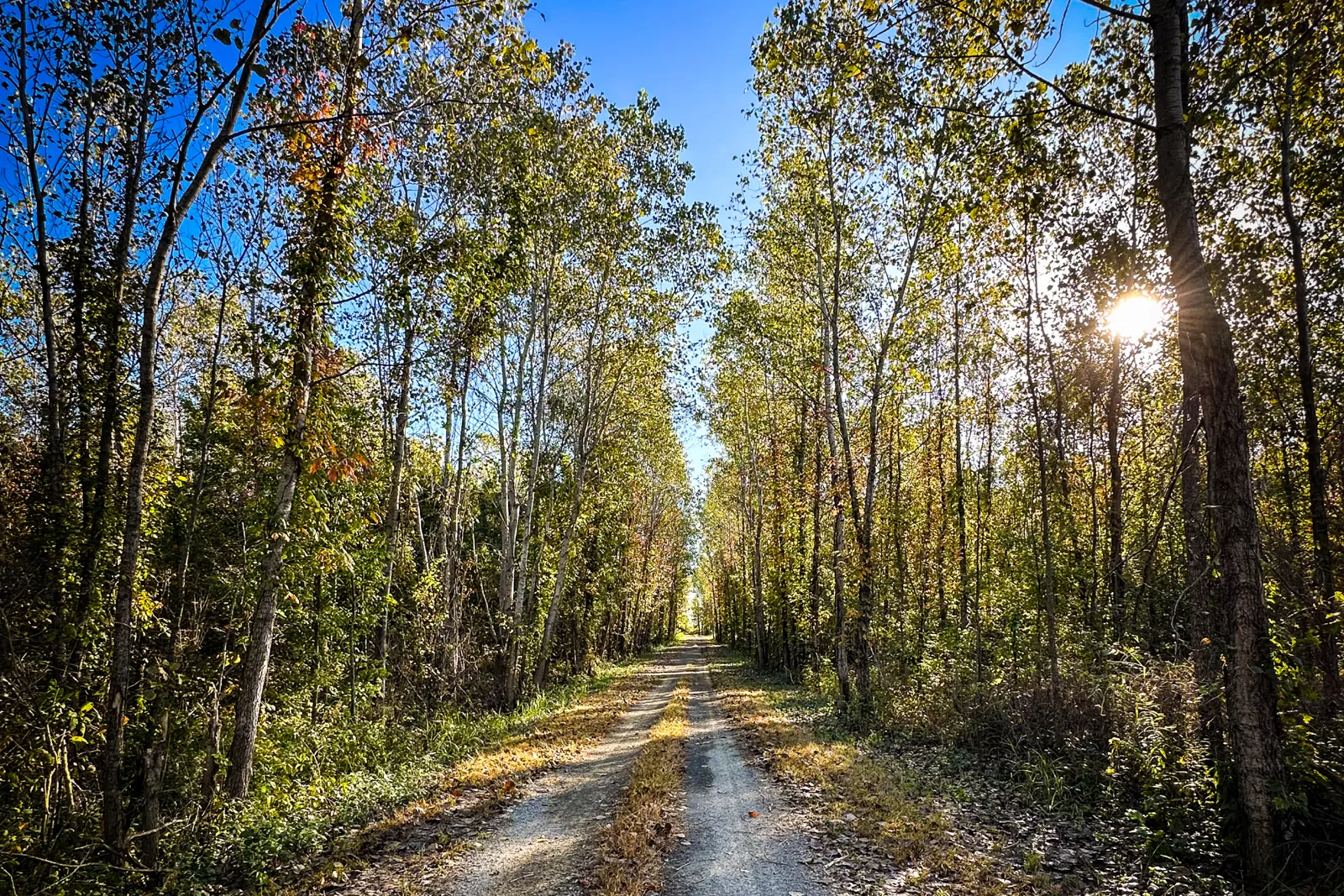 road on Island 35