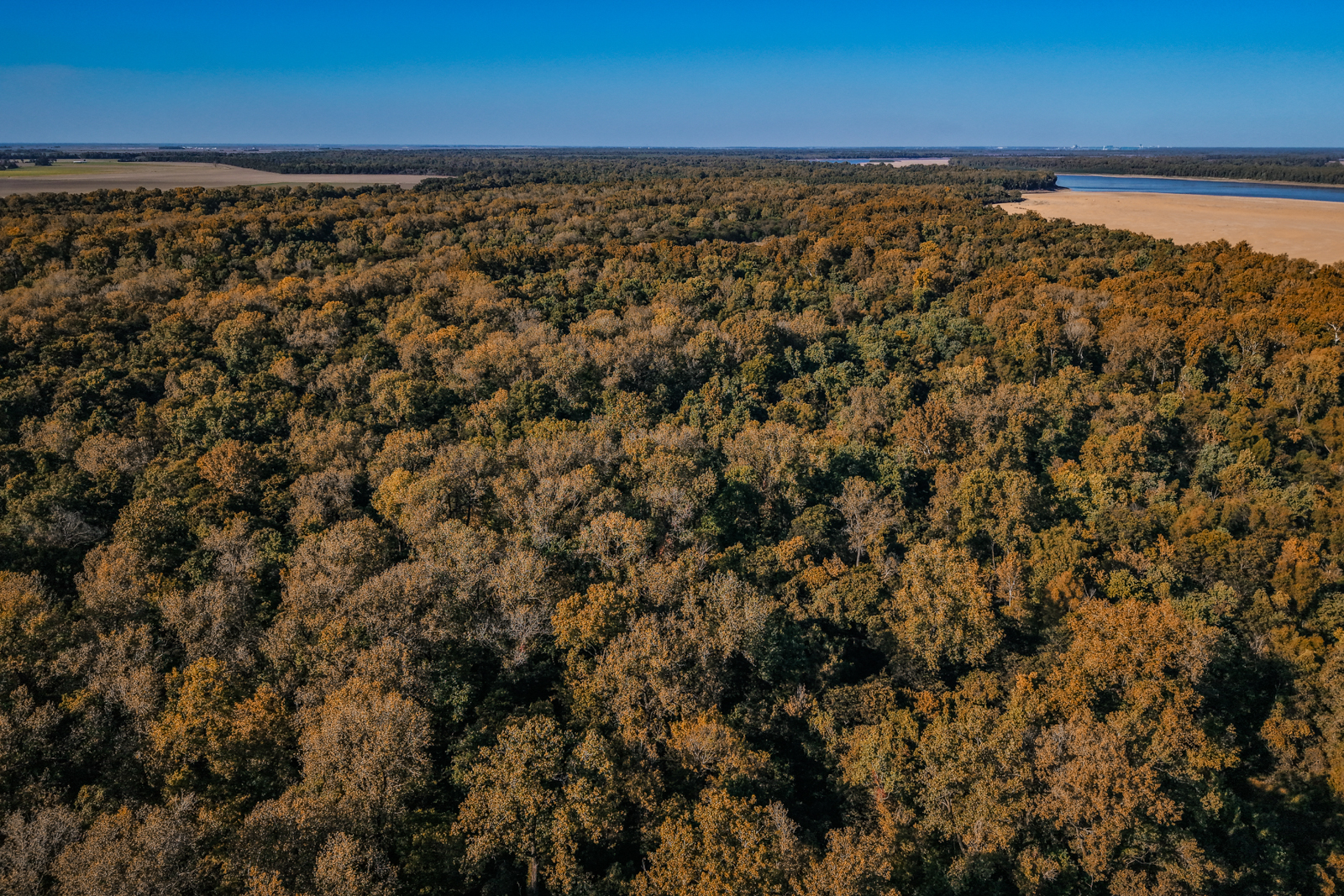 Pecan Point property view