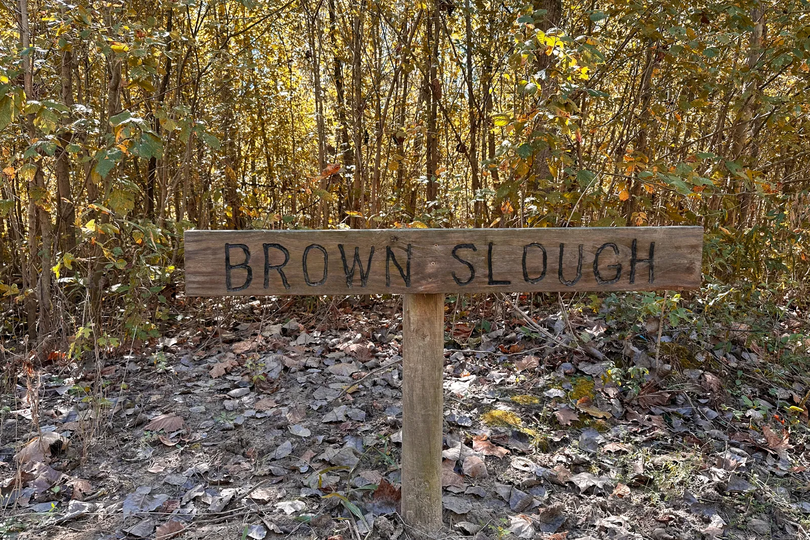 Brown slough wooden sign