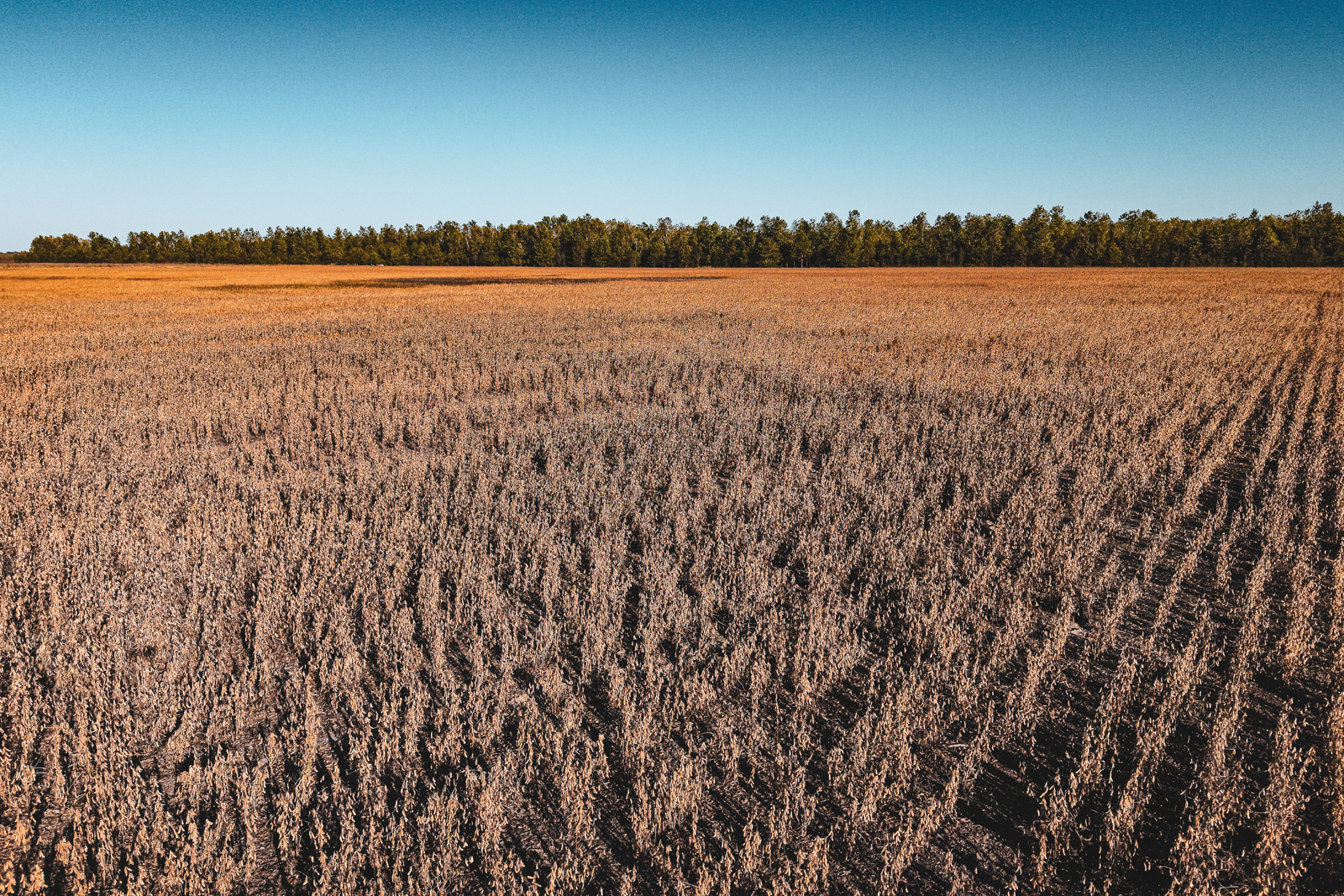 land for sale in Arkansas