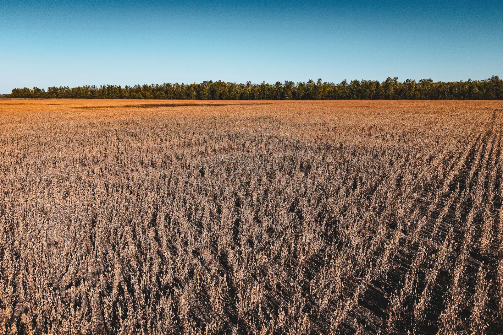 land for sale in Arkansas