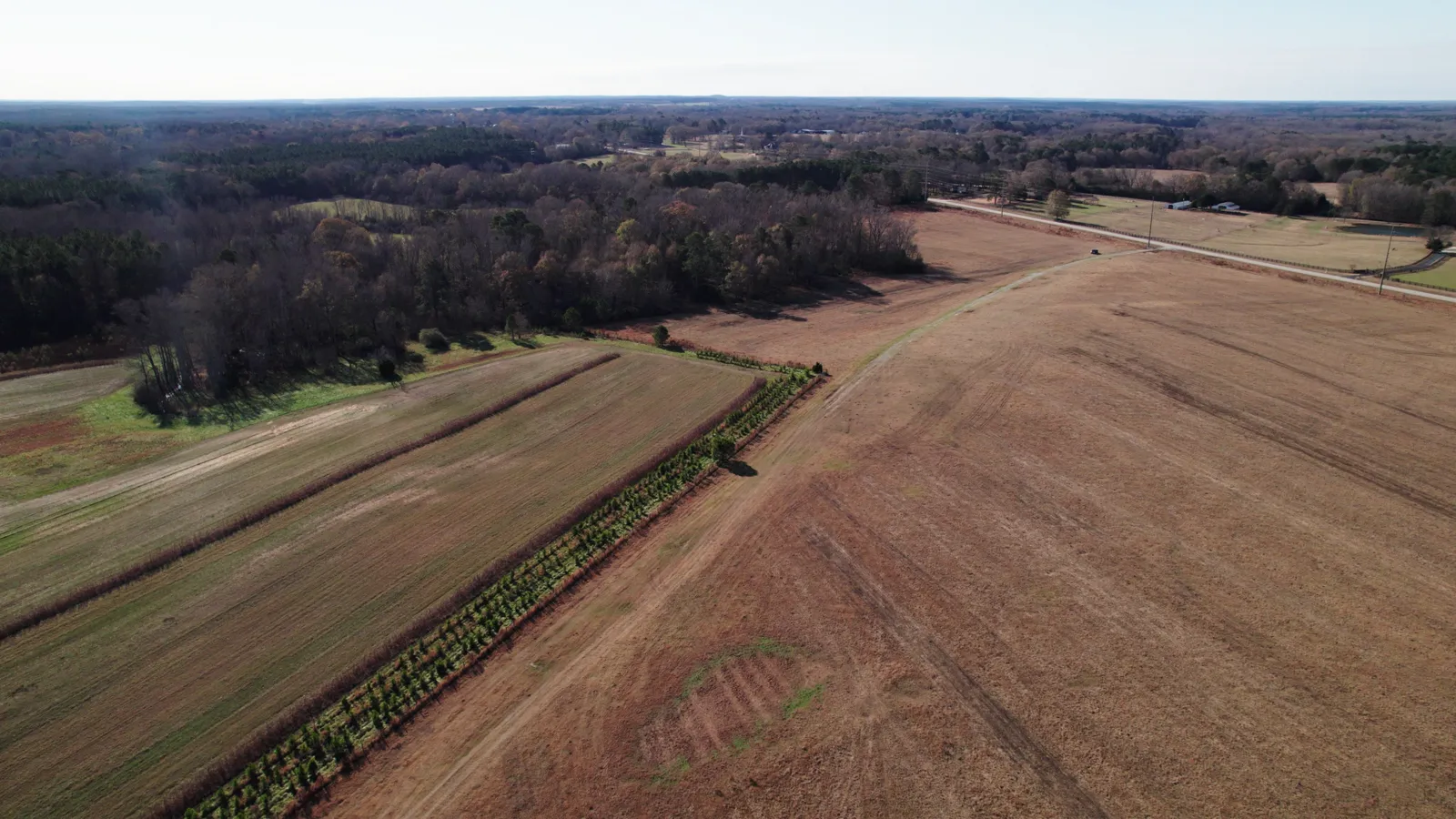 Georgia farmland