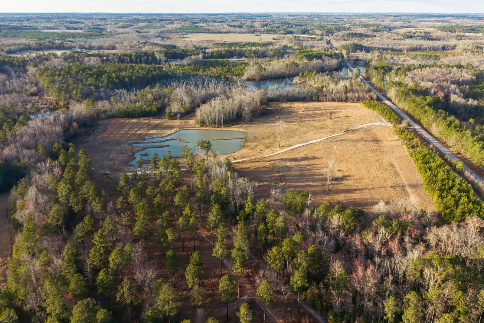 farm in south carolina for sale