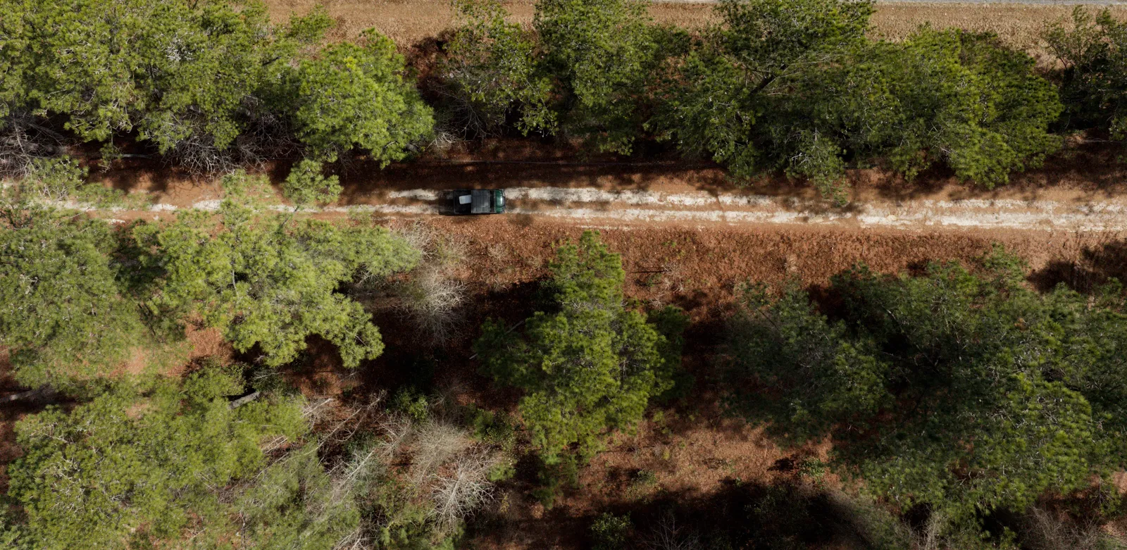 truck driving on farm in south carolina for sale