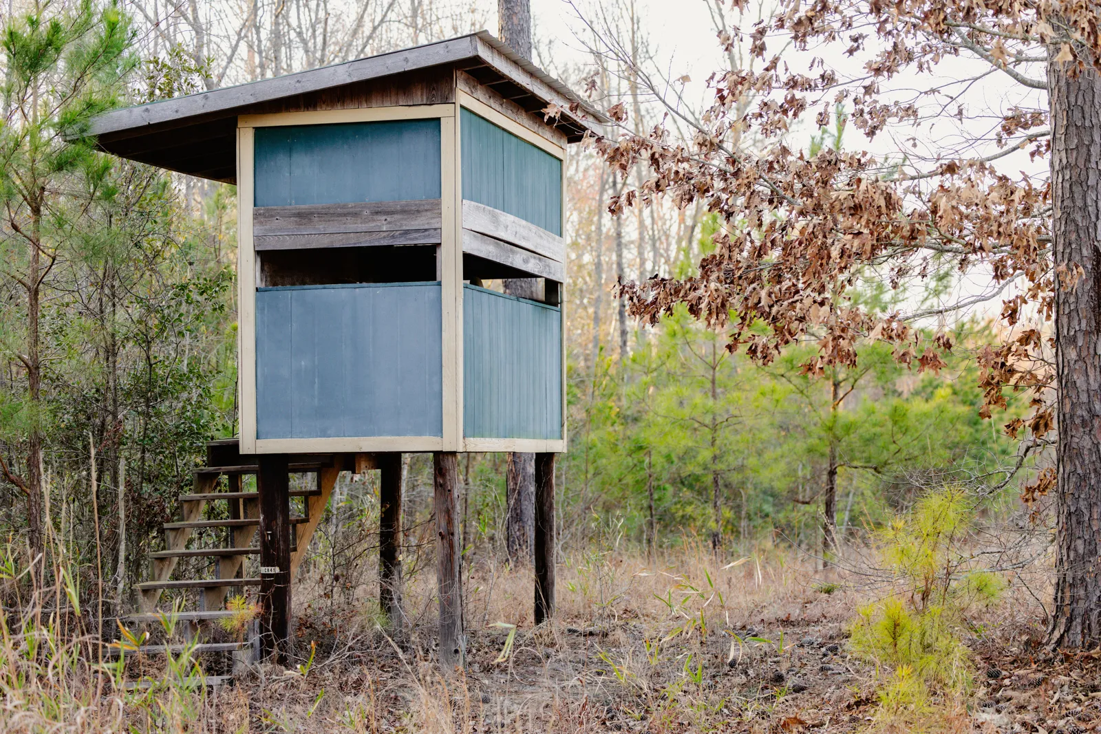 hunting blind on stilts