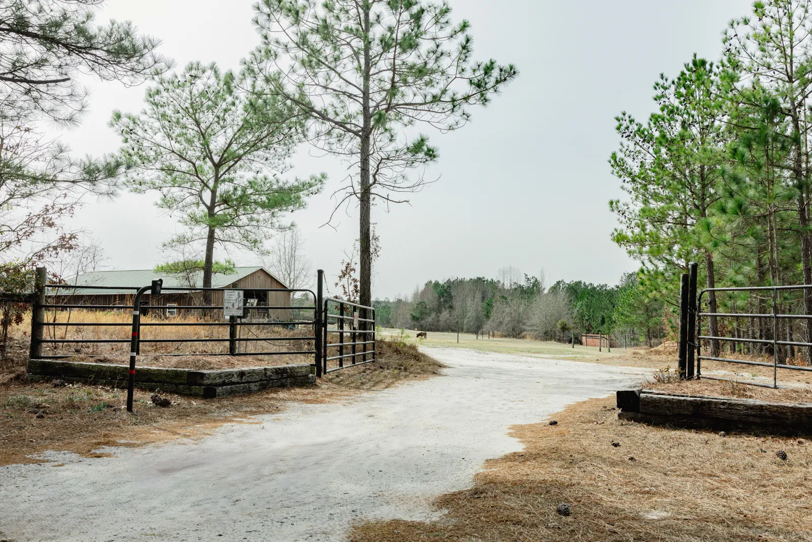 front gate