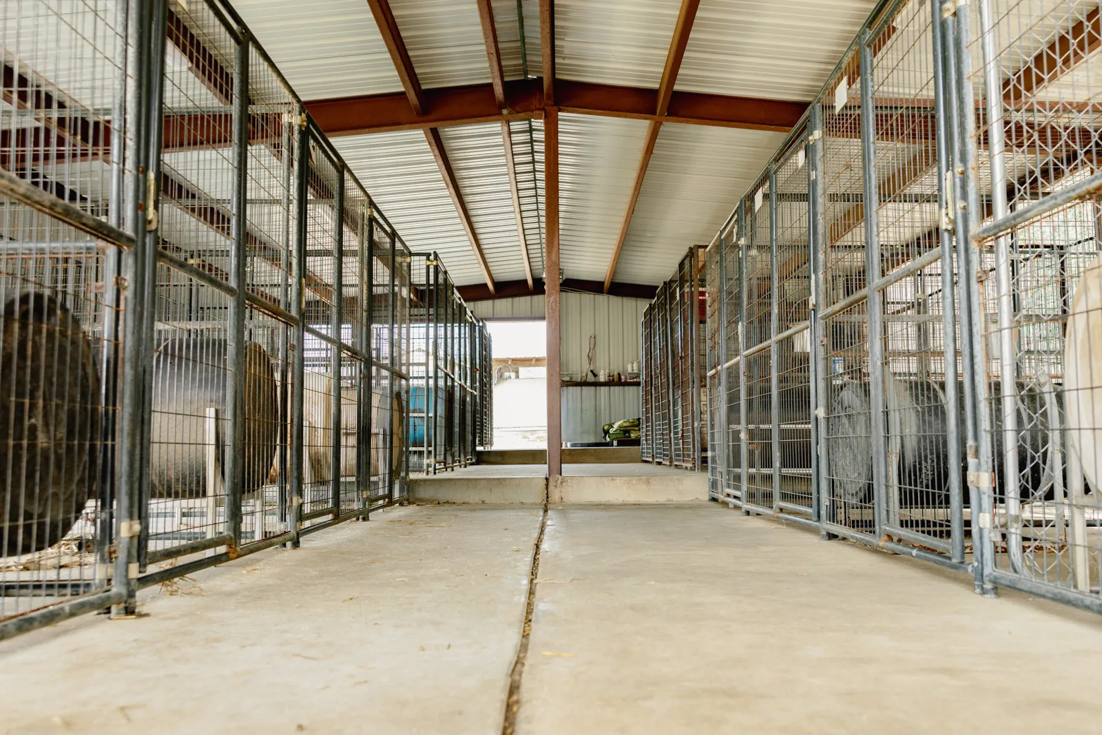 stable interior