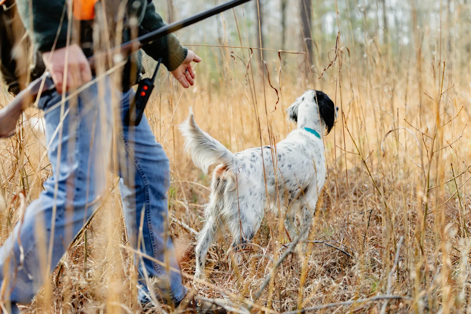 hunter next to hunting dog
