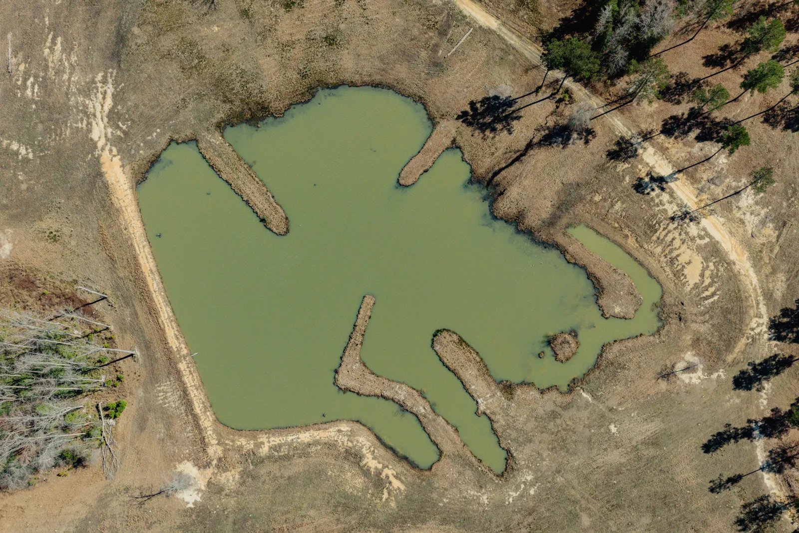 aerial view of tank