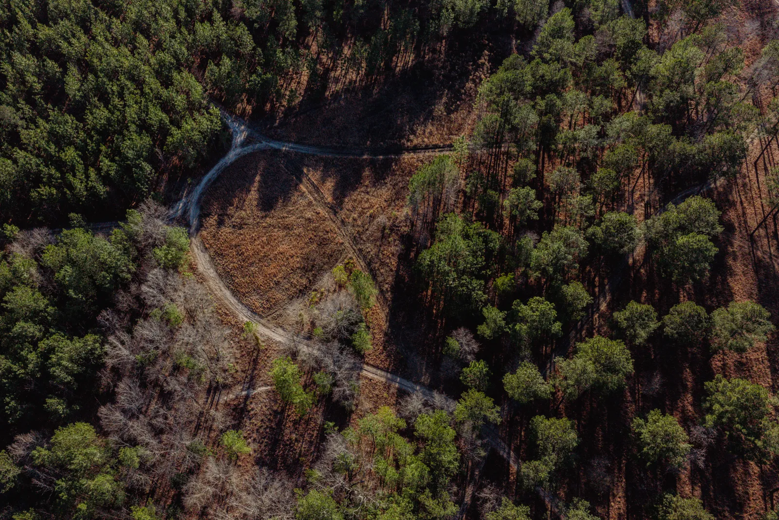 roads on farm in south carolina for sale