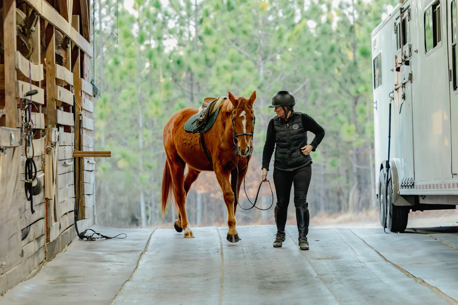 woman leading horse