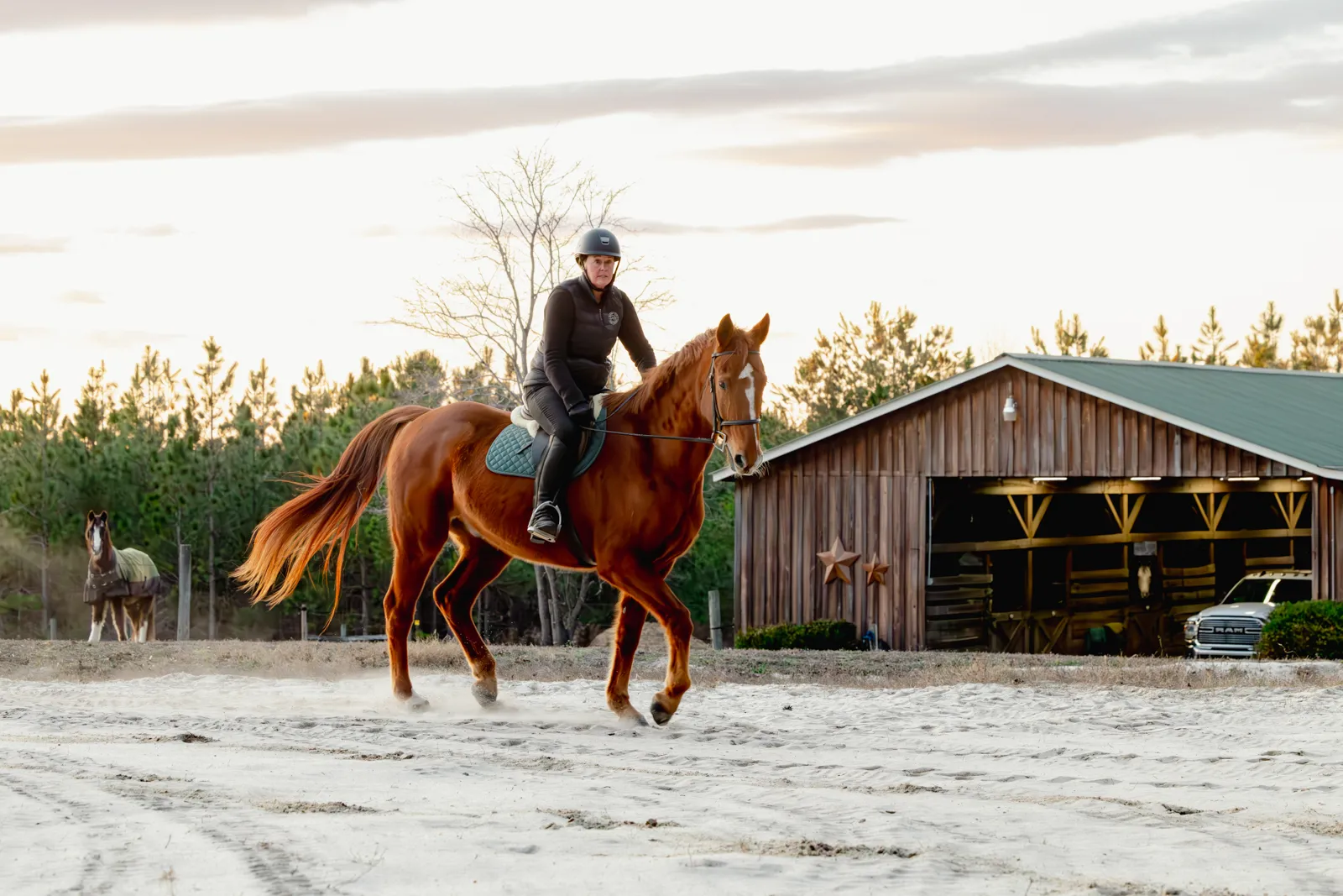 woman riding horse