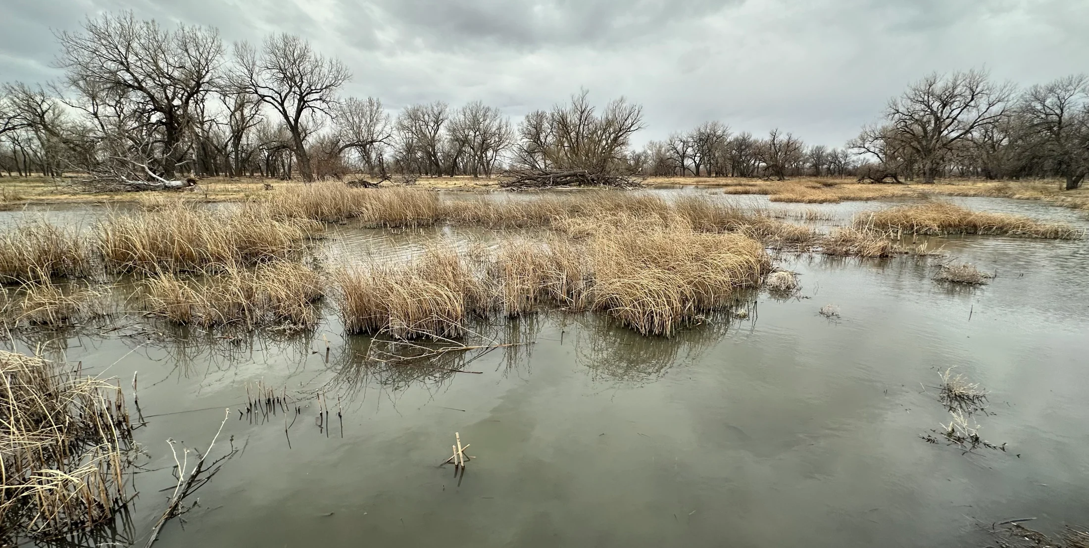 Big Slough property