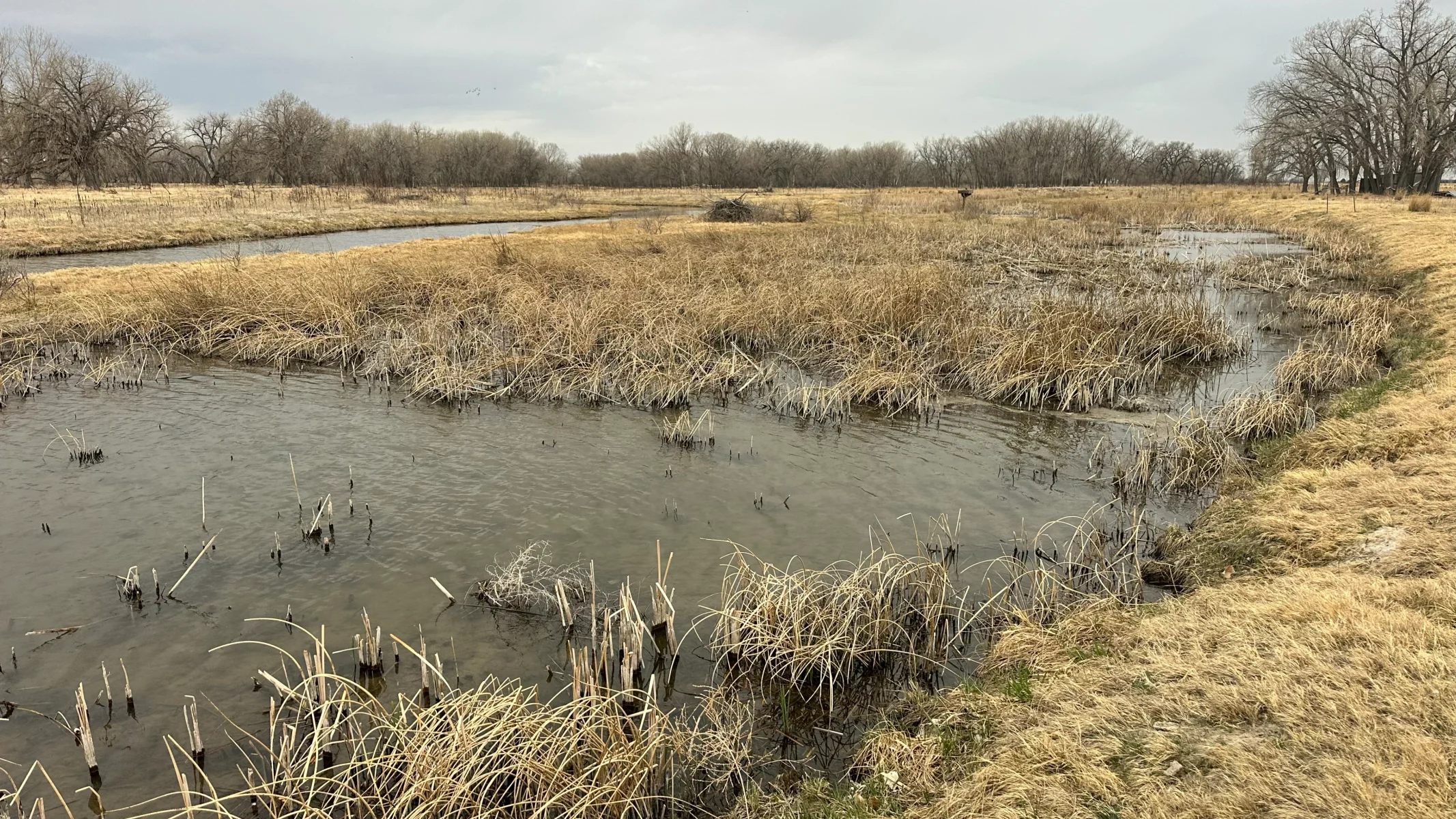 Big Slough property