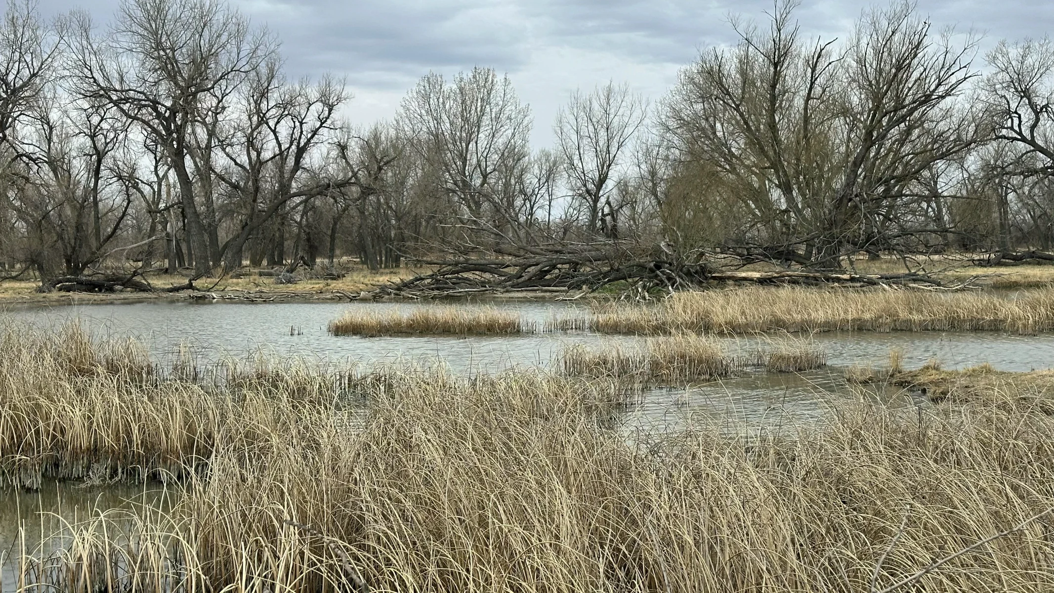 Big Slough wetland