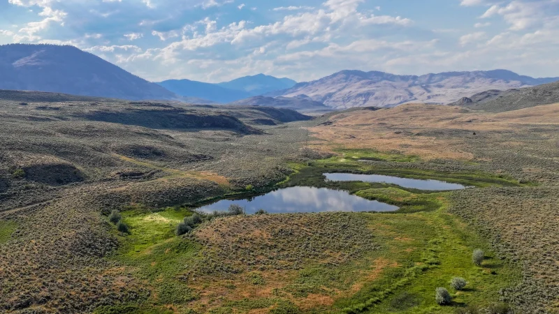 Spear Ranch