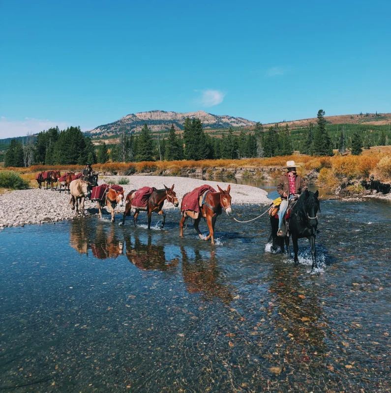 A Century of Integrity: Lessons from Triangle X Ranch